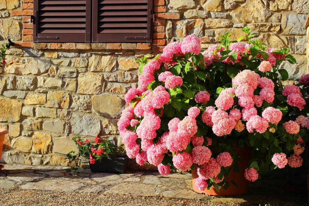 Sandra House Apartment Castellina in Chianti Exterior foto