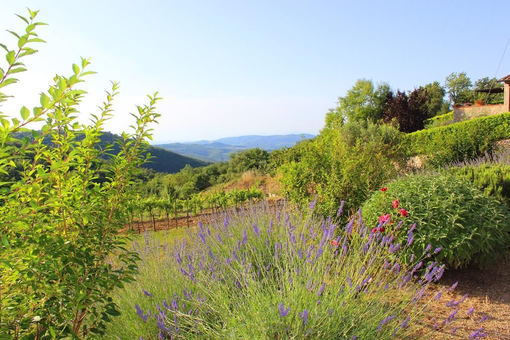 Sandra House Apartment Castellina in Chianti Exterior foto